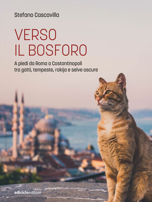 cover image of Verso il Bosforo